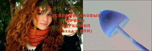 MESCALINE Горно-Алтайск